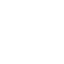 Carry Bags icon